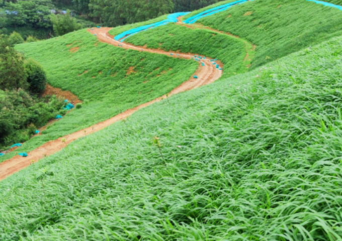 南嶺國家公園環(huán)丹霞山片區(qū)生態(tài)環(huán)境系統(tǒng)保護修復工程（湞江區(qū)煤矸石礦區(qū)遺址生態(tài)環(huán)境修復治理）設計、施工總承包
